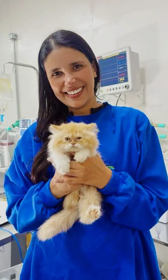 75921c08-bf09-4bd6-93e0-f64b0b16d733