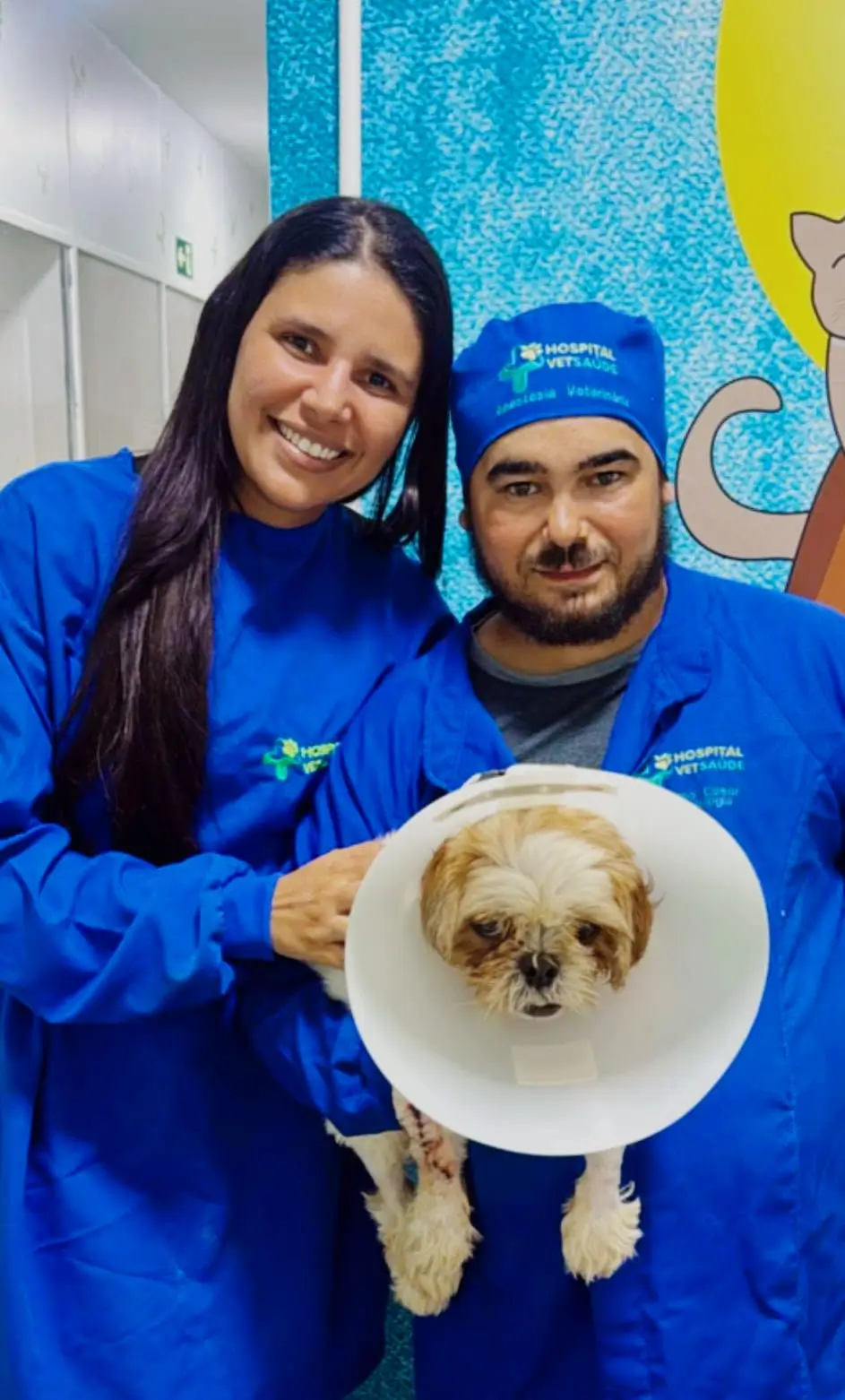 ee4a7a55-4064-447c-9e19-0d74cd9973a5